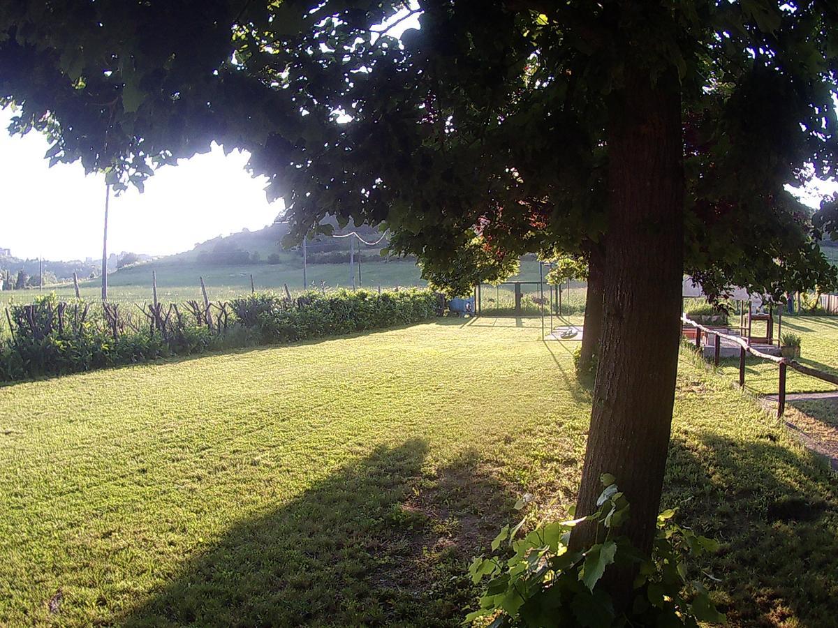 Gavi/Alice Open Space Bed & Breakfast Luaran gambar