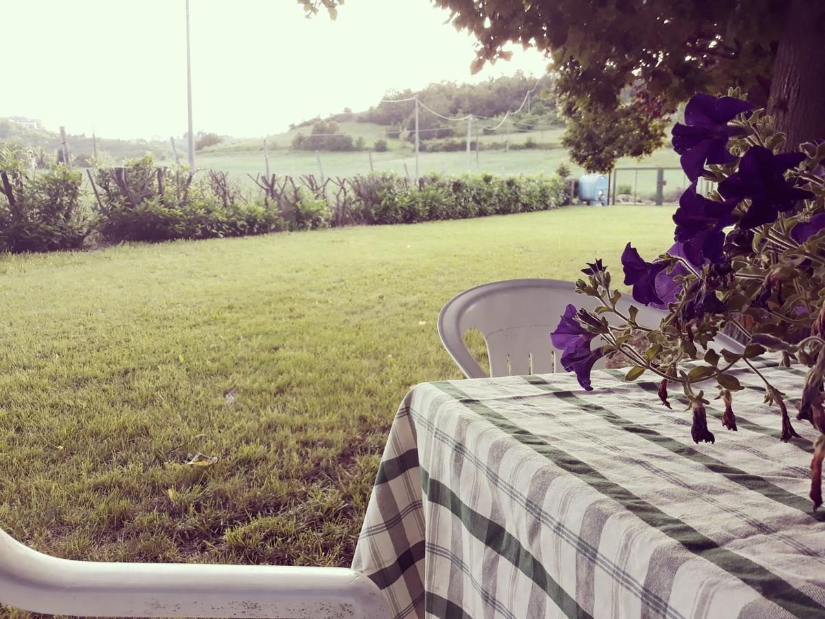 Gavi/Alice Open Space Bed & Breakfast Luaran gambar
