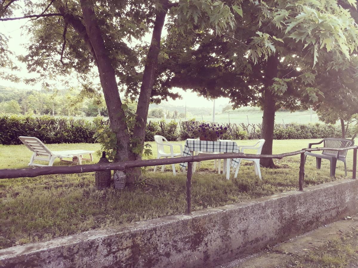 Gavi/Alice Open Space Bed & Breakfast Luaran gambar